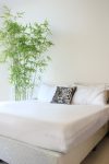 01_BAMBOO_SHEETS